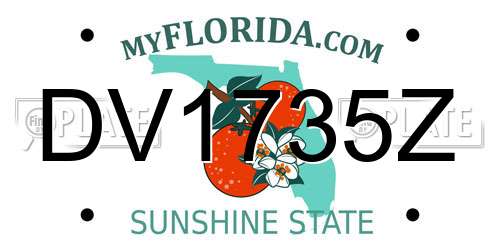 DV1735Z Florida License Plate