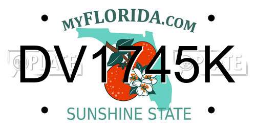 DV1745K Florida License Plate
