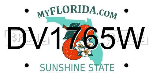 DV1765W Florida License Plate