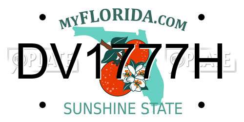 DV1777H Florida License Plate