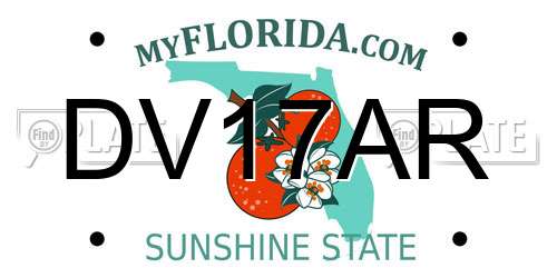 DV17AR Florida License Plate