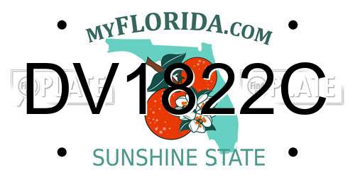 DV1822C Florida License Plate