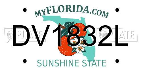 DV1832L Florida License Plate