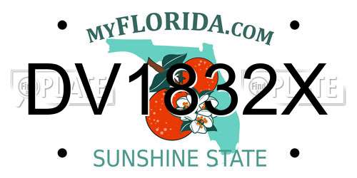 DV1832X Florida License Plate