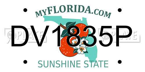 DV1835P Florida License Plate