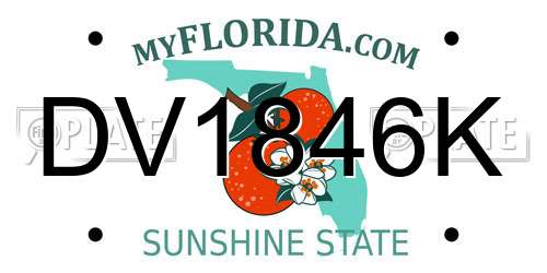 DV1846K Florida License Plate