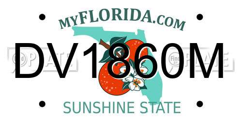 DV1860M Florida License Plate