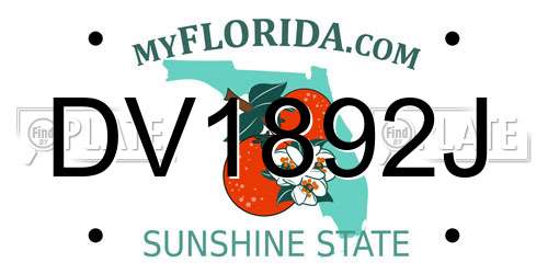 DV1892J Florida License Plate