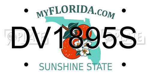 DV1895S Florida License Plate