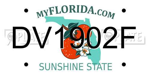 DV1902F Florida License Plate
