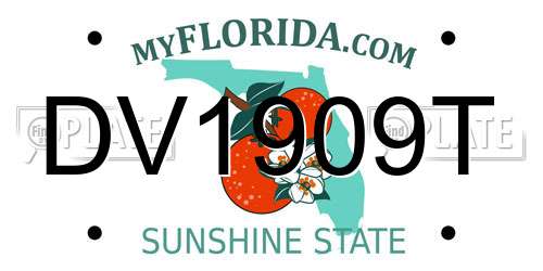 DV1909T Florida License Plate