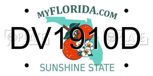 DV1910D Florida License Plate