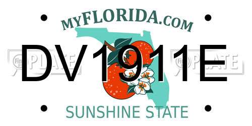 DV1911E Florida License Plate