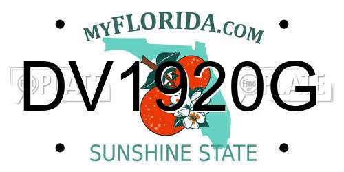 DV1920G Florida License Plate
