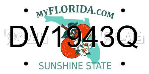DV1943Q Florida License Plate