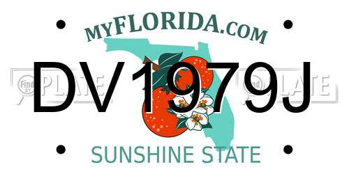 DV1979J Florida License Plate