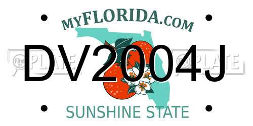 DV2004J Florida License Plate