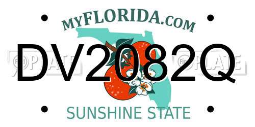 DV2082Q Florida License Plate