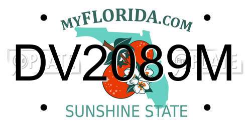 DV2089M Florida License Plate