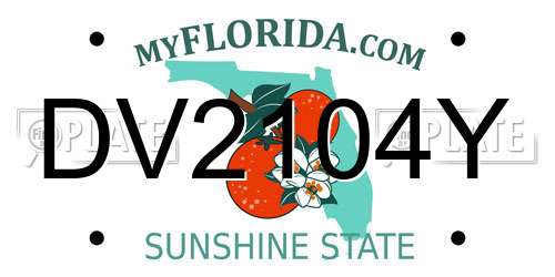 DV2104Y Florida License Plate