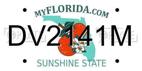DV2141M Florida License Plate