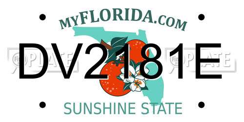 DV2181E Florida License Plate