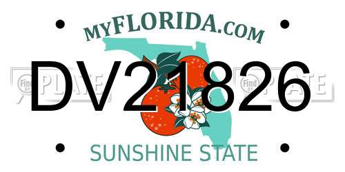 DV21826 Florida License Plate