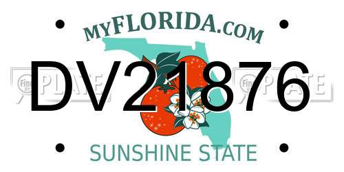 DV21876 Florida License Plate