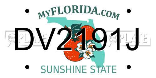 DV2191J Florida License Plate