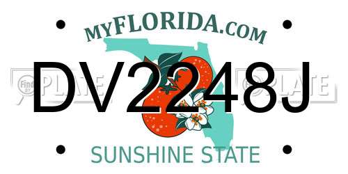 DV2248J Florida License Plate