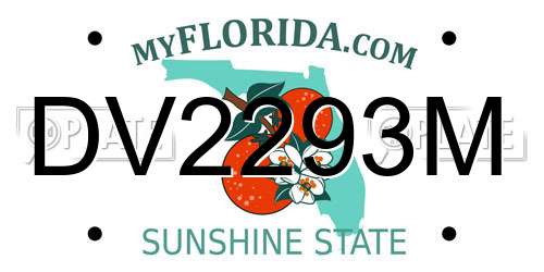 DV2293M Florida License Plate