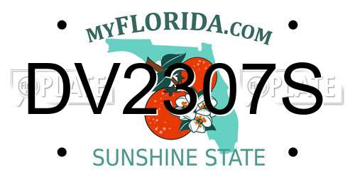 DV2307S Florida License Plate