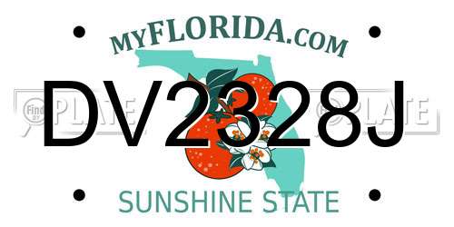 DV2328J Florida License Plate