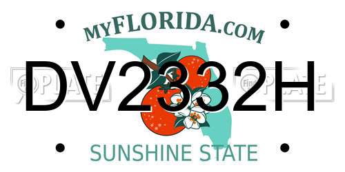 DV2332H Florida License Plate