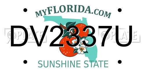 DV2337U Florida License Plate