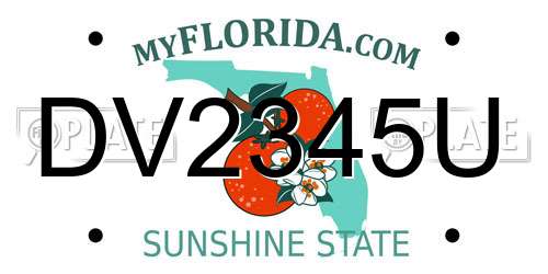 DV2345U Florida License Plate