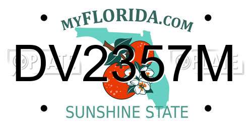 DV2357M Florida License Plate