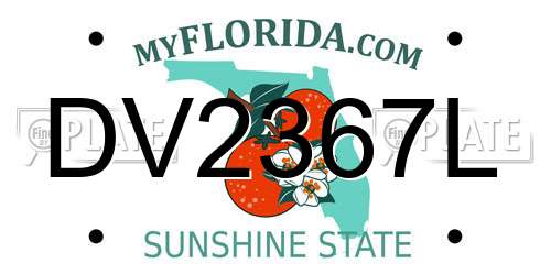 DV2367L Florida License Plate
