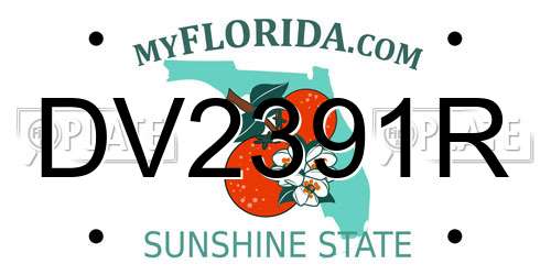 DV2391R Florida License Plate