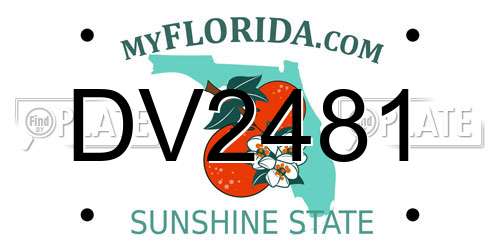 DV2481 Florida License Plate