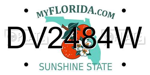 DV2484W Florida License Plate