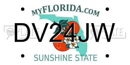 DV24JW Florida License Plate