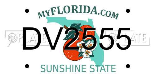 DV2555 Florida License Plate