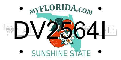 DV2564I Florida License Plate