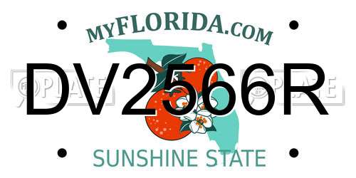 DV2566R Florida License Plate