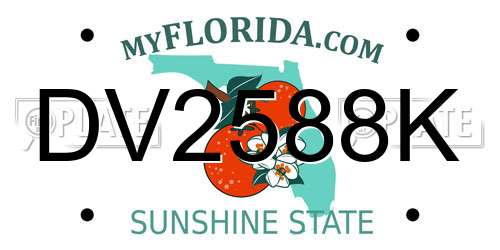 DV2588K Florida License Plate