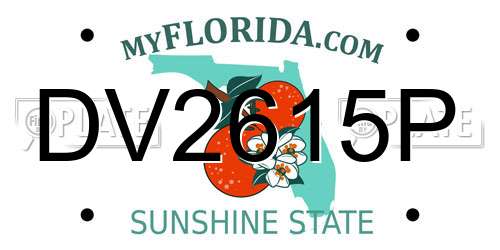 DV2615P Florida License Plate