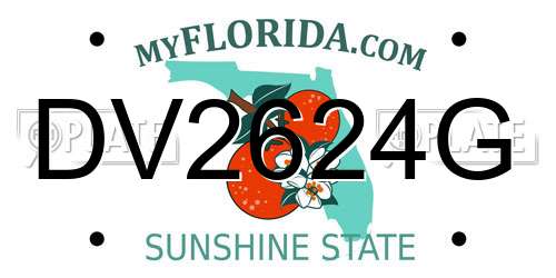 DV2624G Florida License Plate