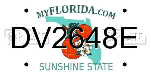 DV2648E Florida License Plate