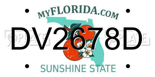 DV2678D Florida License Plate